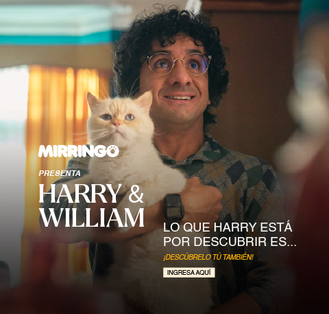  Banner Harry y william